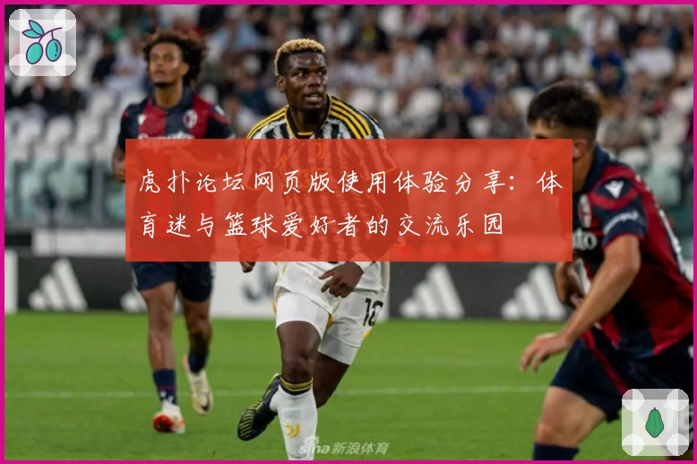 虎扑论坛网页版使用体验分享：体育迷与篮球爱好者的交流乐园