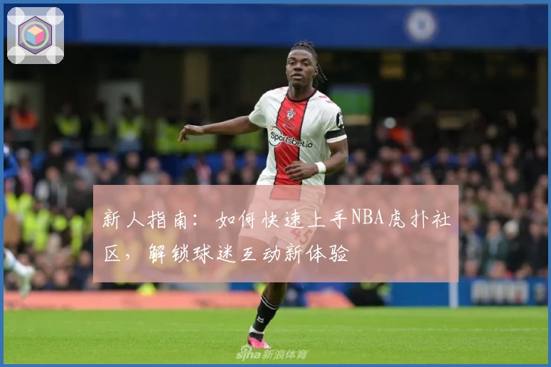 新人指南：如何快速上手NBA虎扑社区，解锁球迷互动新体验