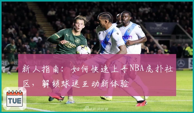 新人指南：如何快速上手NBA虎扑社区，解锁球迷互动新体验