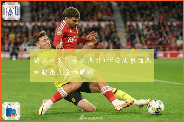 新人必看！手机虎扑APP安装教程及功能亮点全面解析